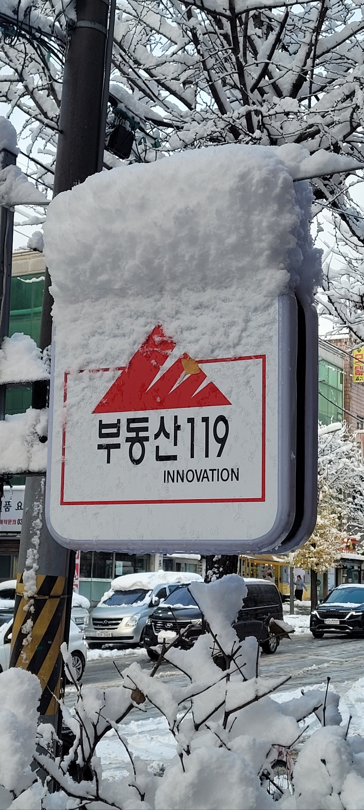 배스킨라빈스안산일동 이미지