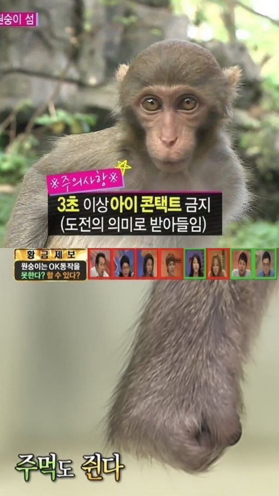 니드상사 이미지