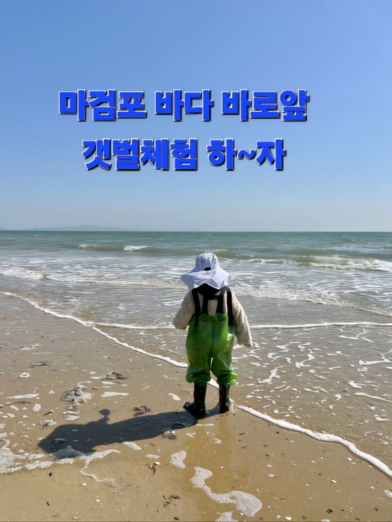 태안안면도아이랑키즈독채오션뷰풀빌라 이미지