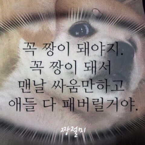 돼야지 이미지