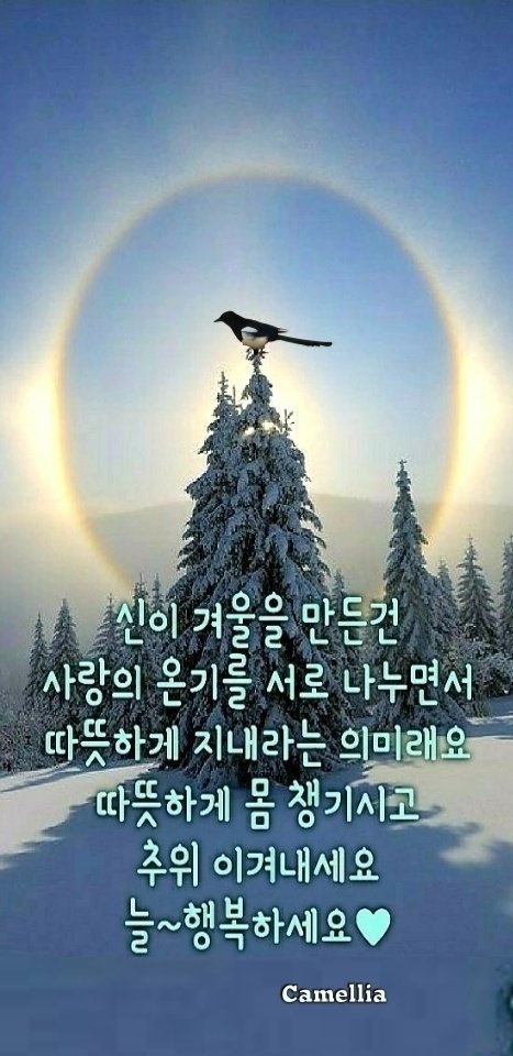 대단한몸매 이미지