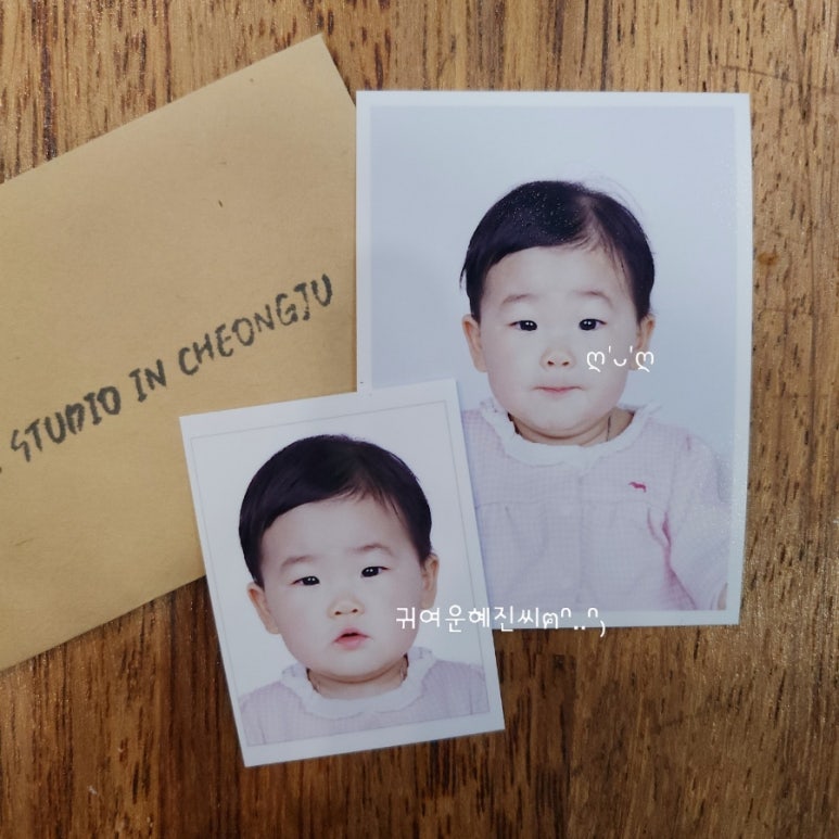 사파리사진관청주점 이미지