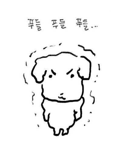 고고마 이미지