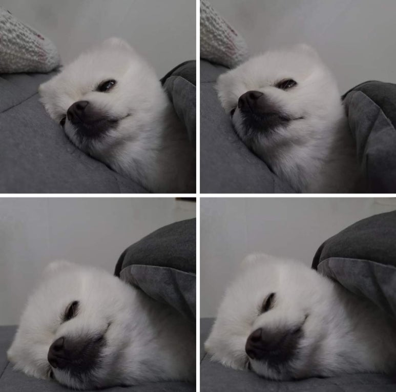 토아빈 이미지