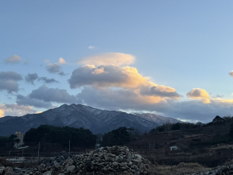청년피자인월지리산점 이미지
