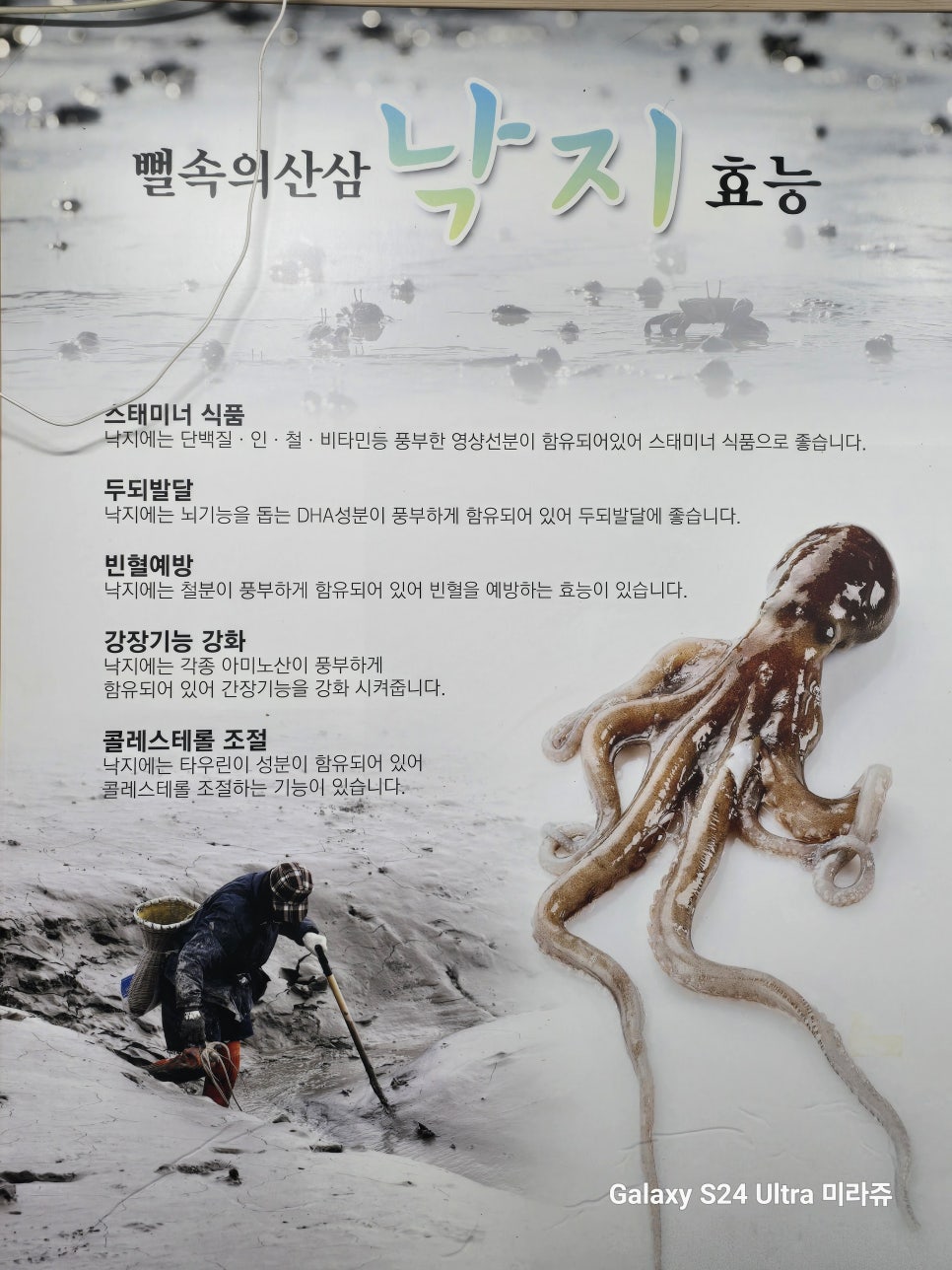 삼촌네탕탕이 이미지