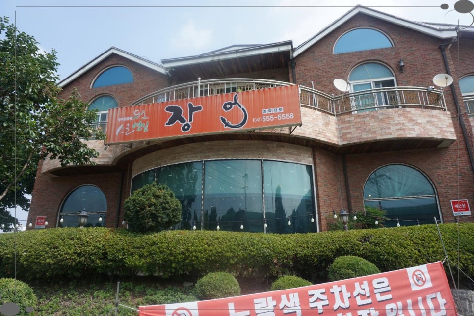 산골장어 이미지