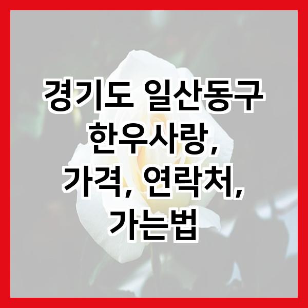 일산농협백마지점 이미지