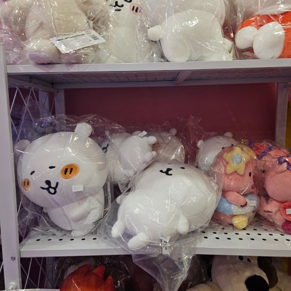 알라딘노래연습장 이미지