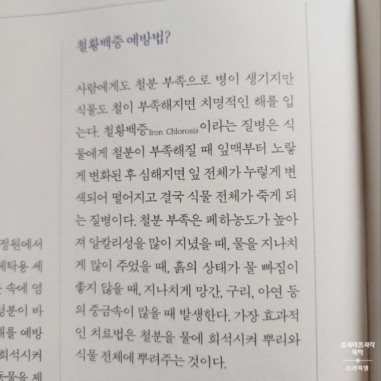 가드너의열두달 이미지