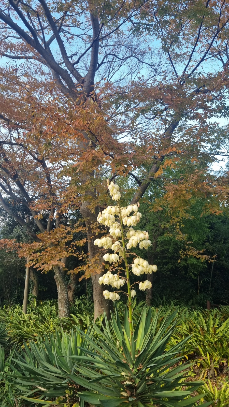 풍경애드 이미지