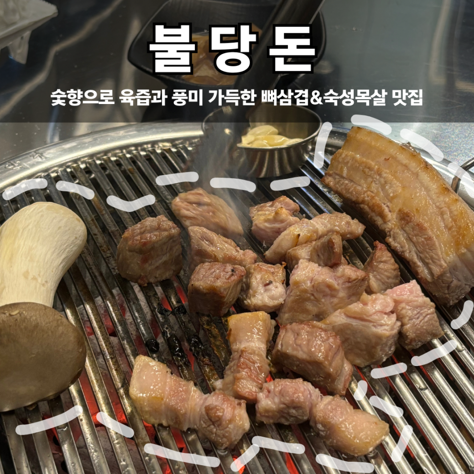 불당돈 이미지