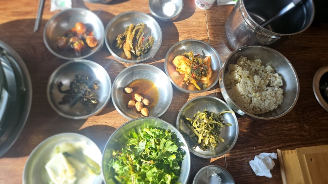 숲속의오리 이미지