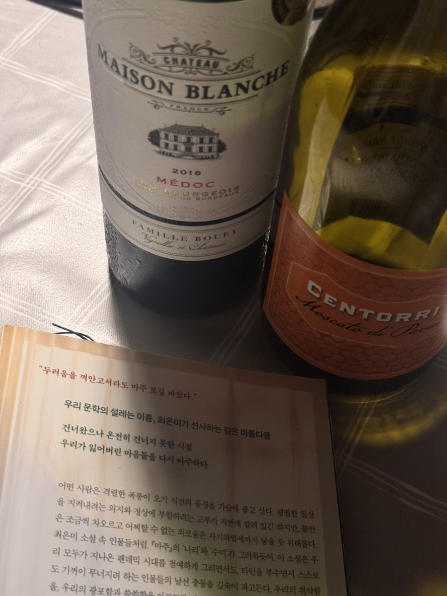 챈토리 이미지