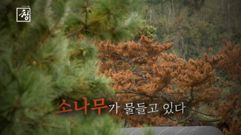 소나무기획 이미지