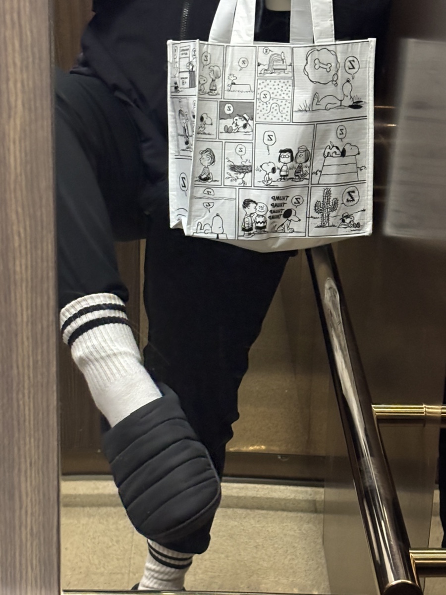 메지탐 이미지
