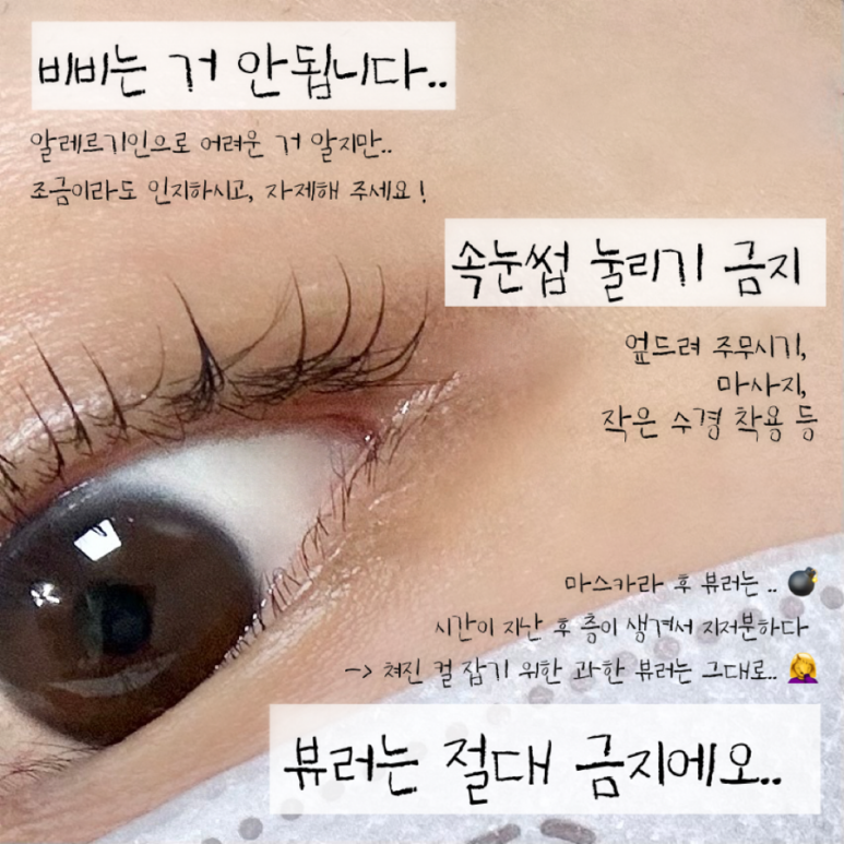 더해윤 이미지