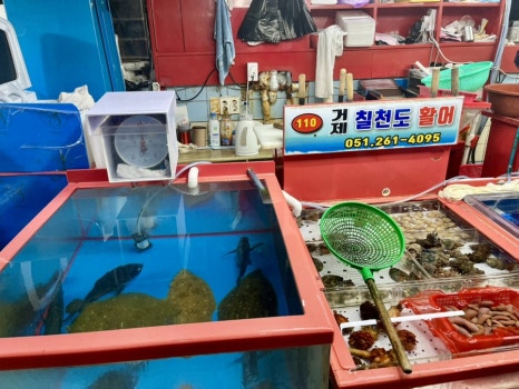 칠천도활어 이미지