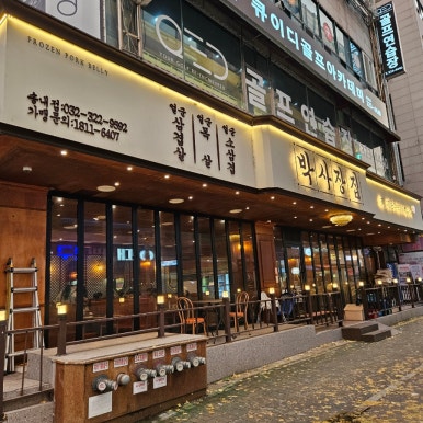 나무박사장 이미지