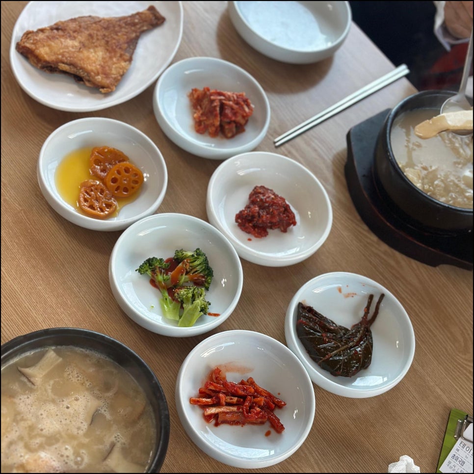 든든한나무 이미지