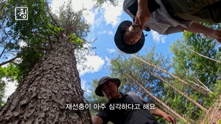 소나무기획 이미지