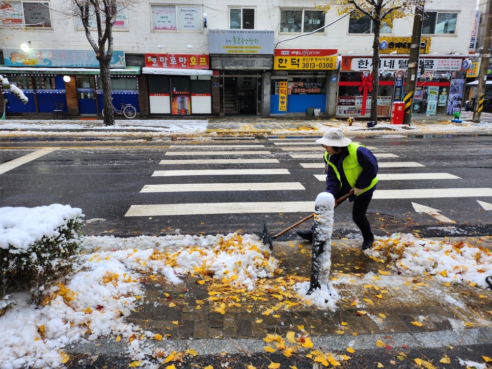 클린데이 이미지