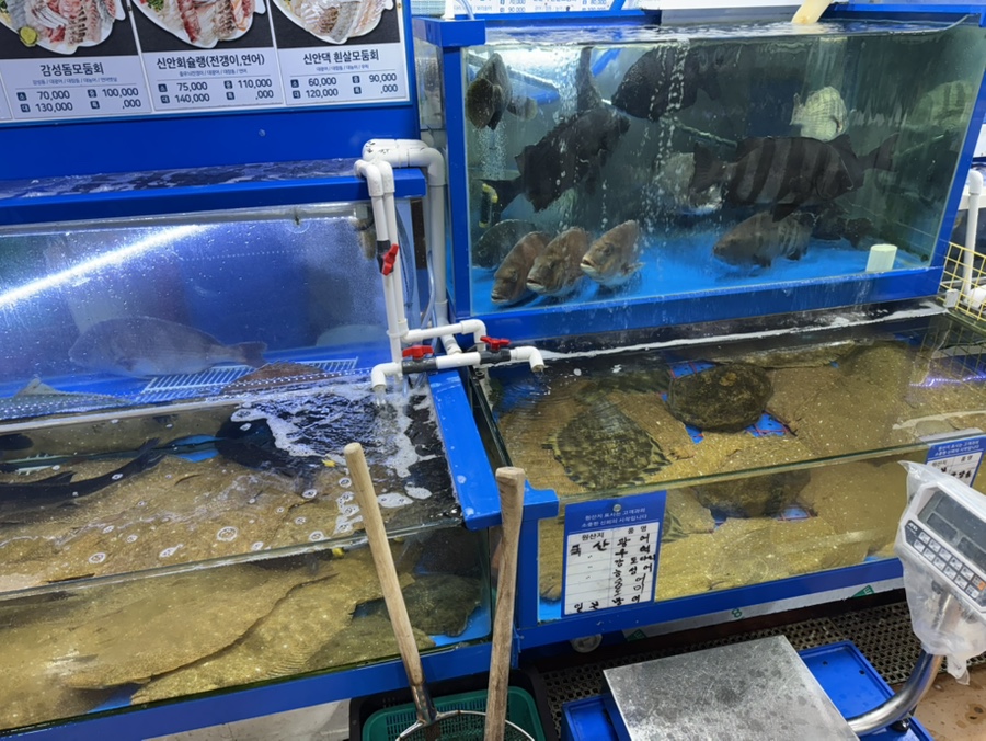 신안상회 이미지