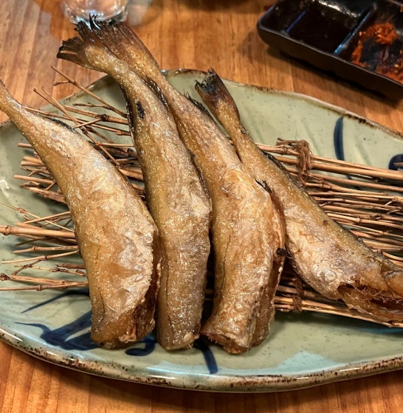 토리광 사진 8