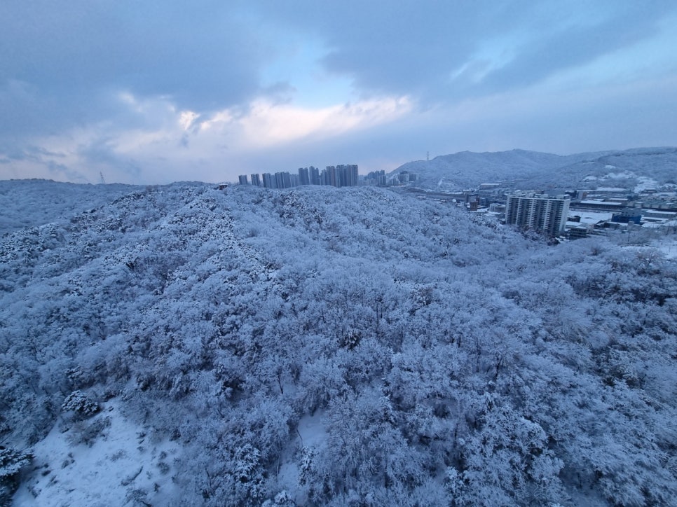 뉴골드 이미지