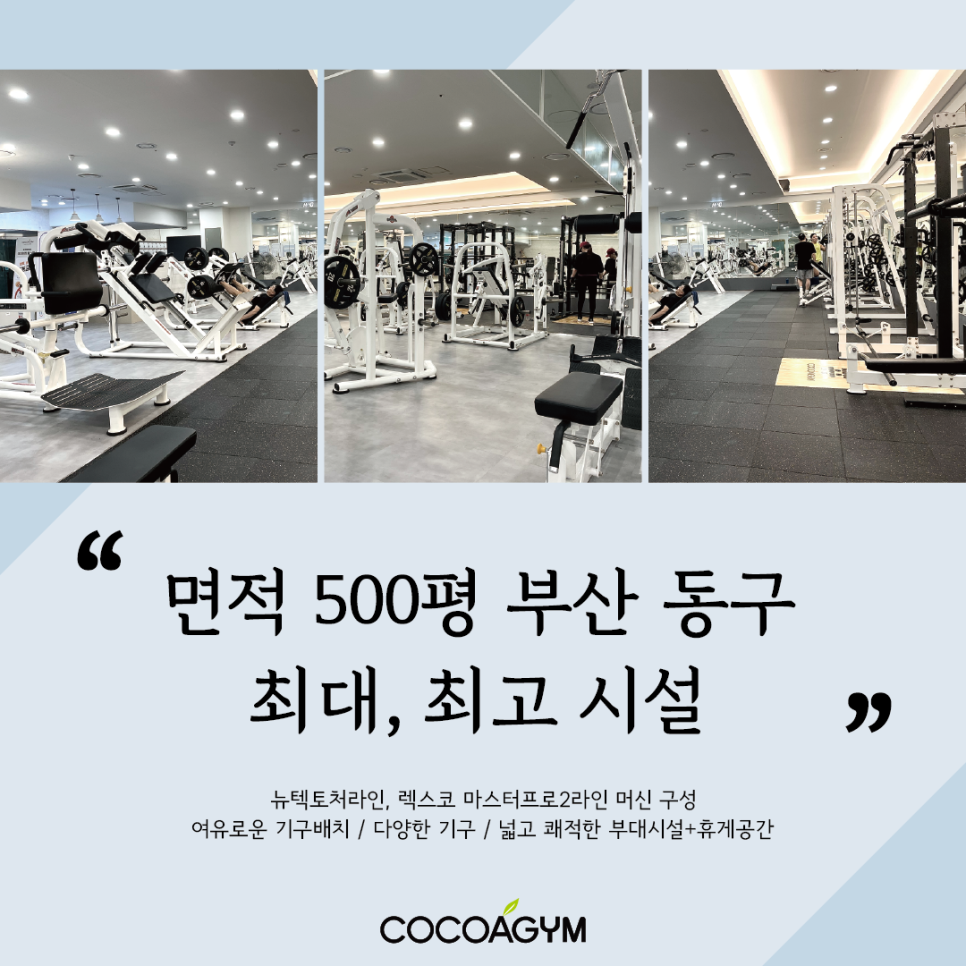 코코아짐 이미지