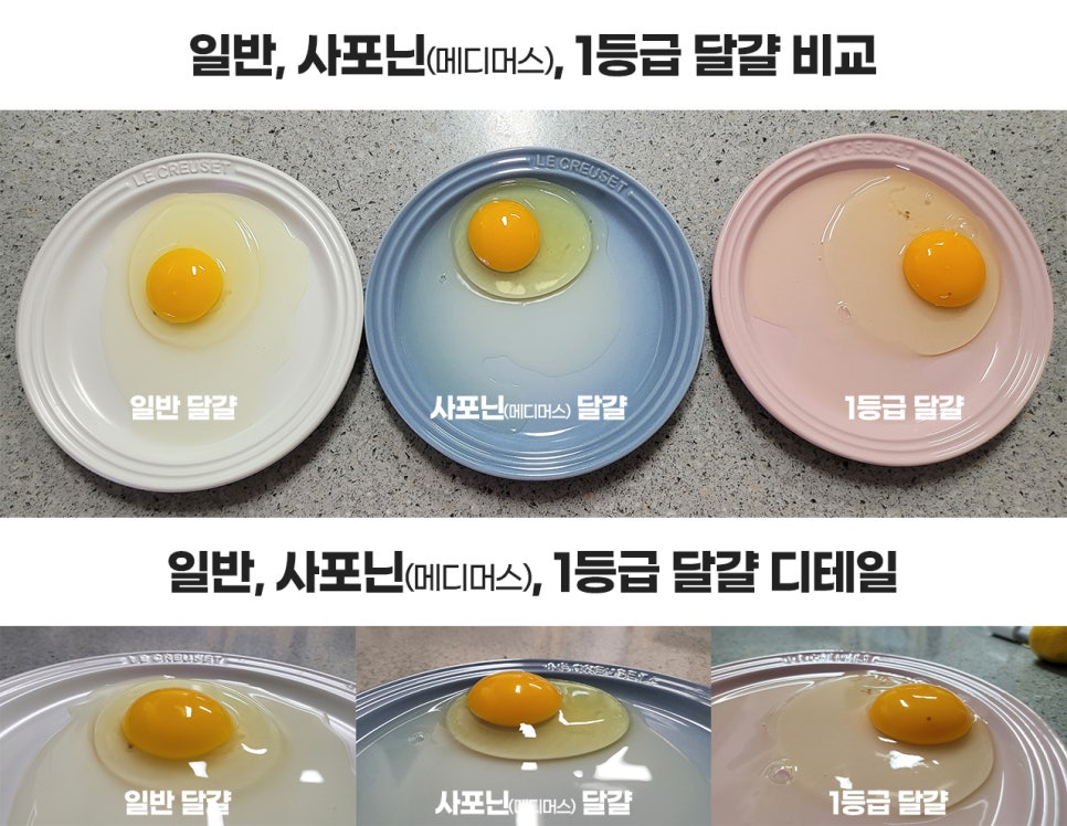 뉴터 이미지