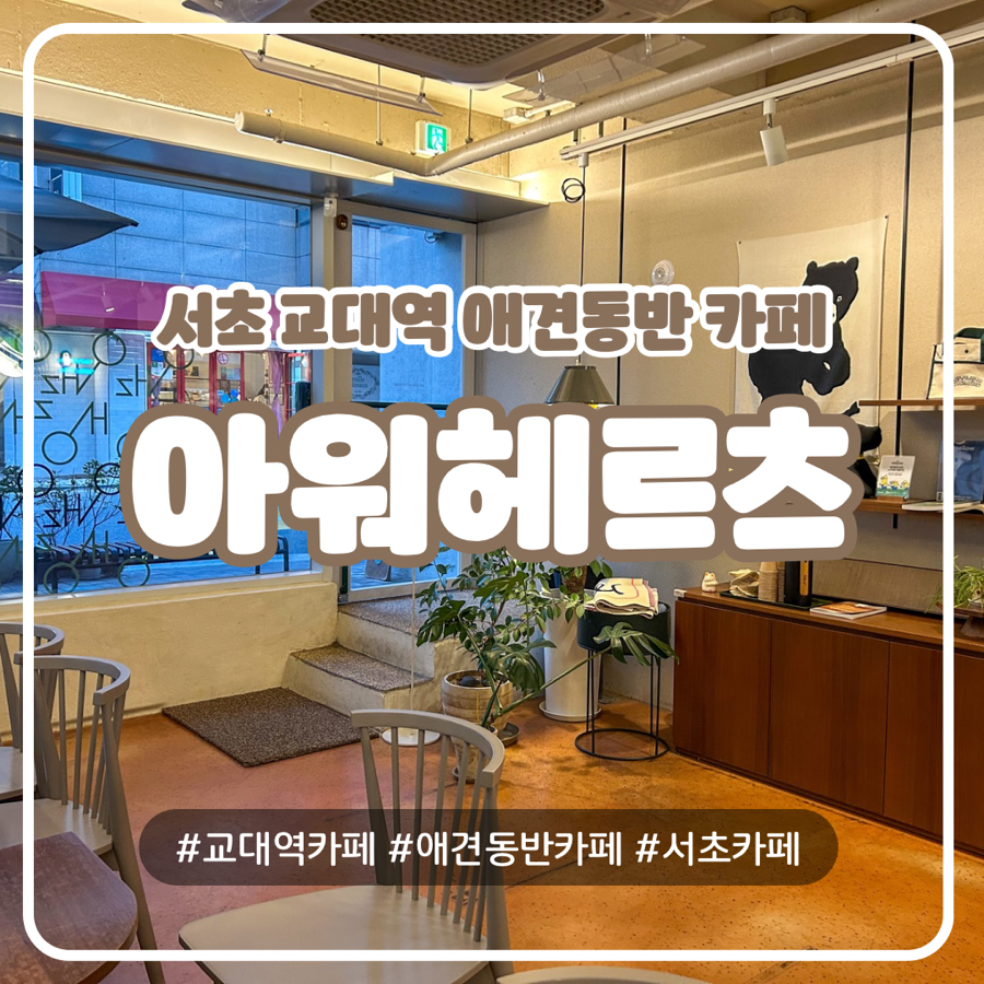 교대역 애견 동반 카페 아워헤르츠, 따뜻한 분위기 속 휴식