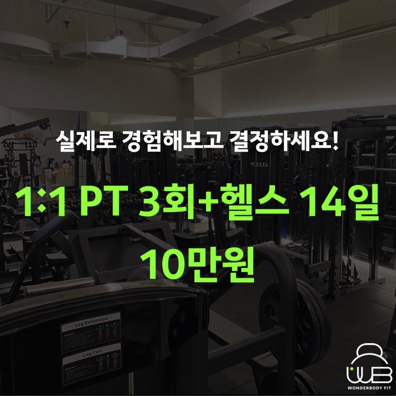 린바디핏 이미지