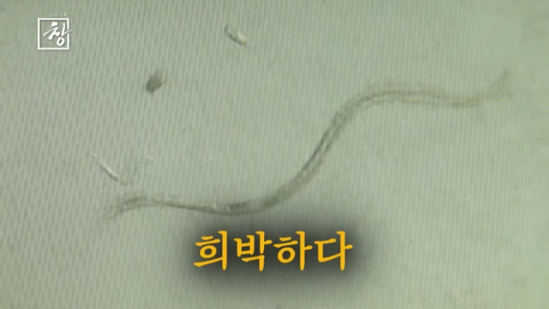 소나무기획 이미지
