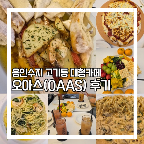 오아스(oaas) 이미지
