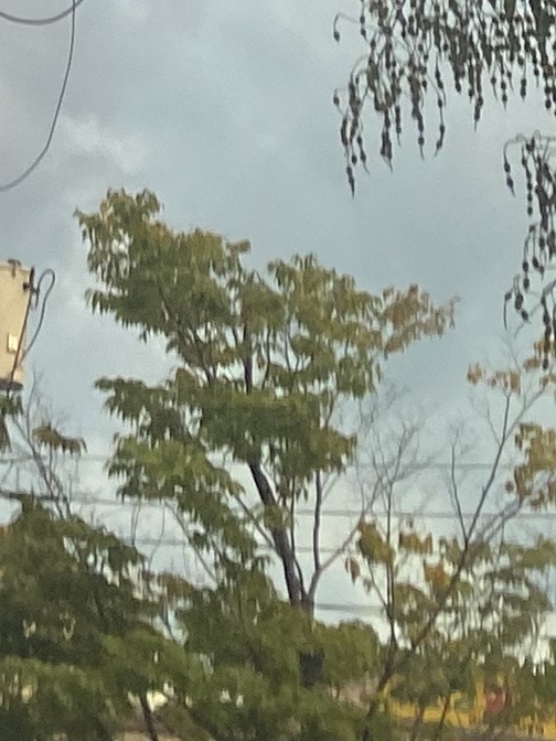 행복드림치과 이미지