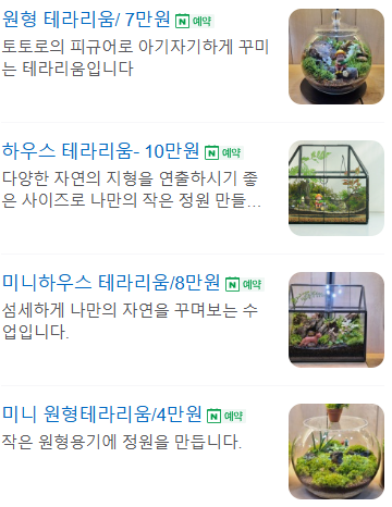 이끼창작스튜디오 이미지