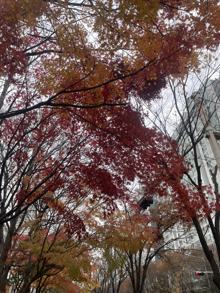 공때리네당구장 이미지