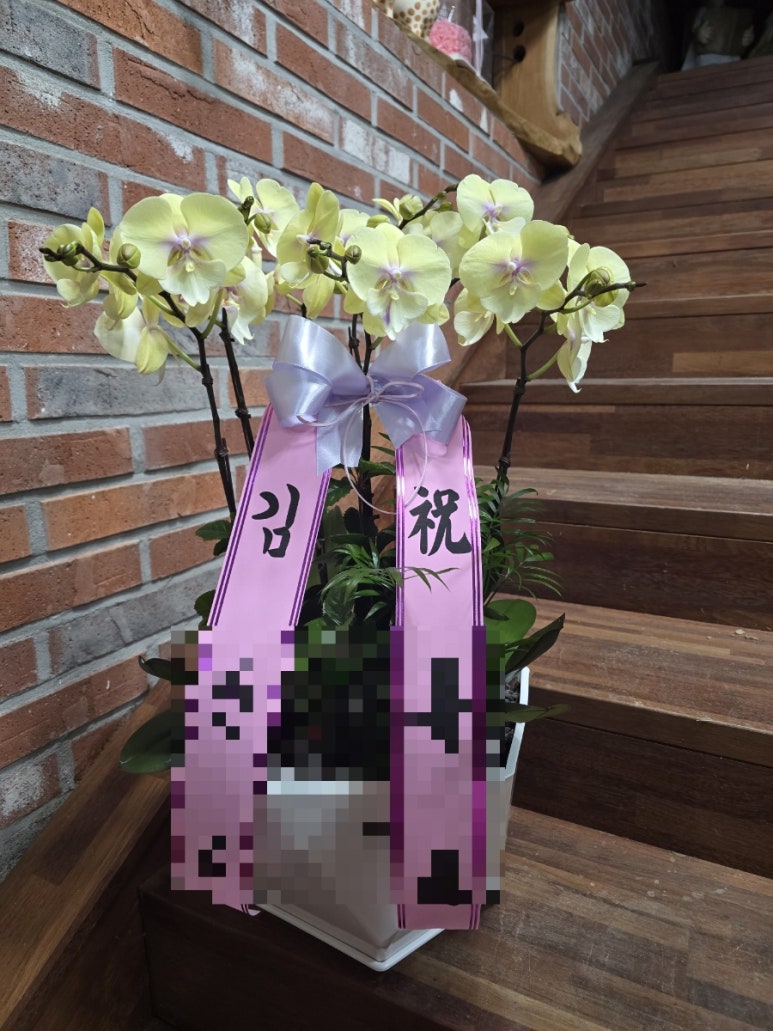 장성꽃배달서비스 이미지