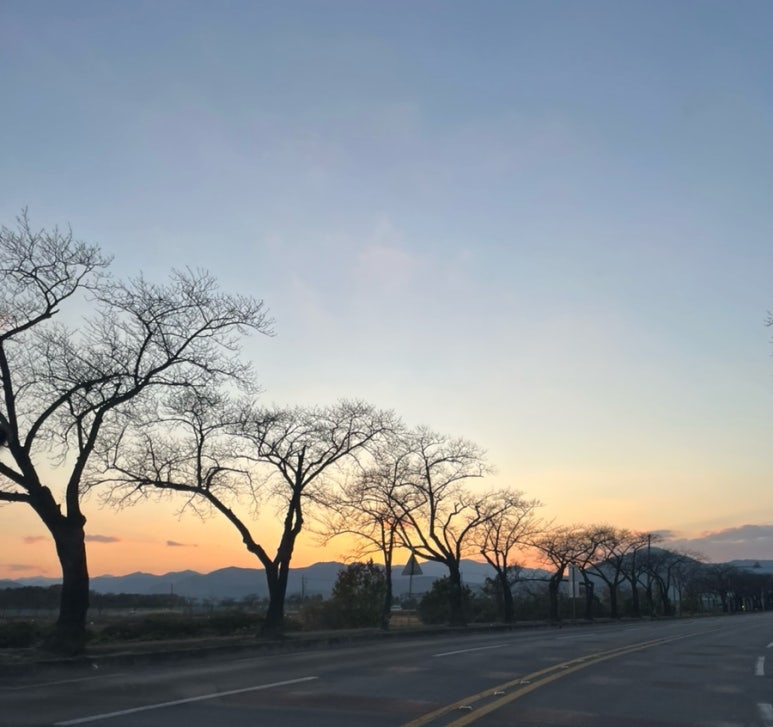 위켄드커먼 이미지
