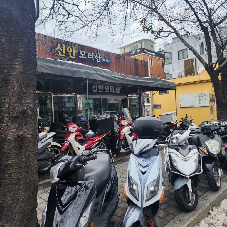모터샵 이미지