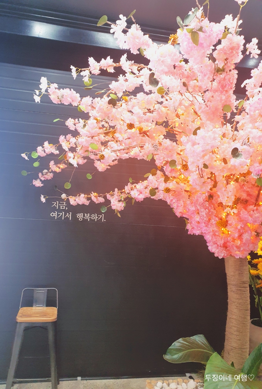 리버972 이미지