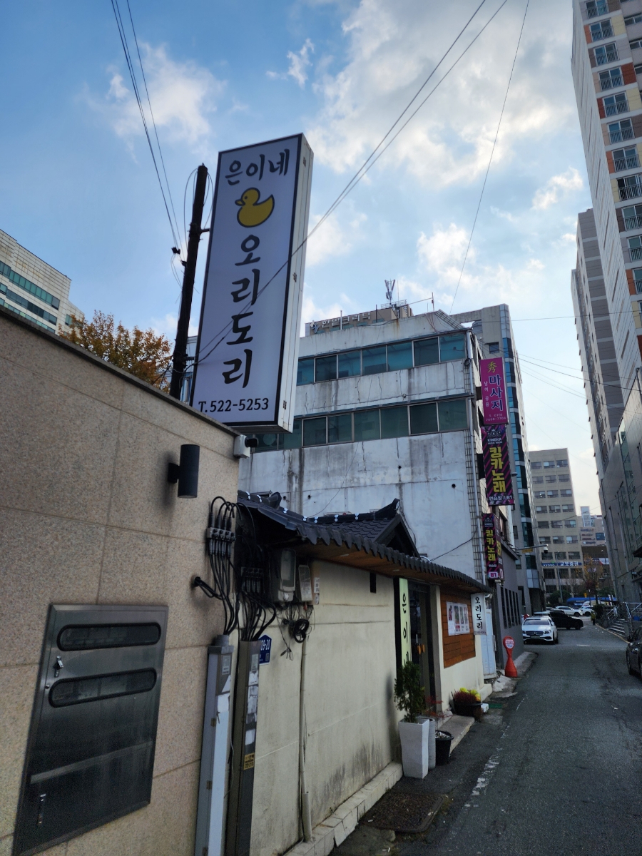은이네오리도리 이미지