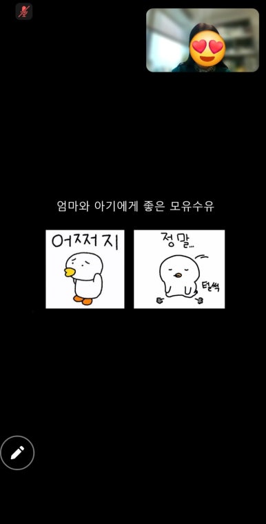 닥터맘 이미지