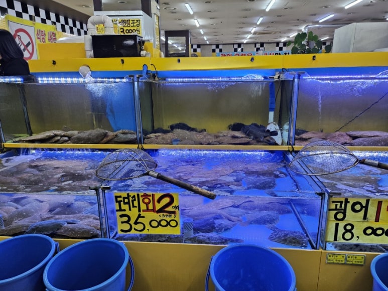 광어1마리 18000 이미지