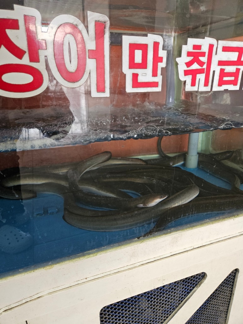 사선대풍천장어 이미지