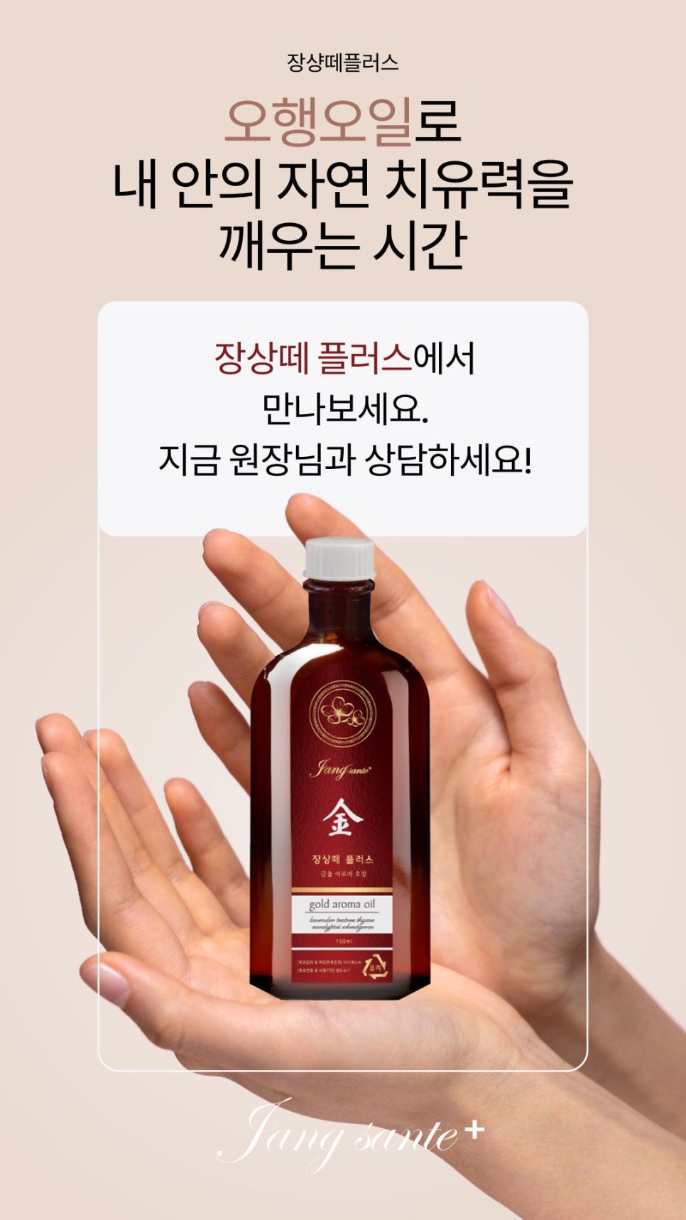 장샹떼플러스 이미지