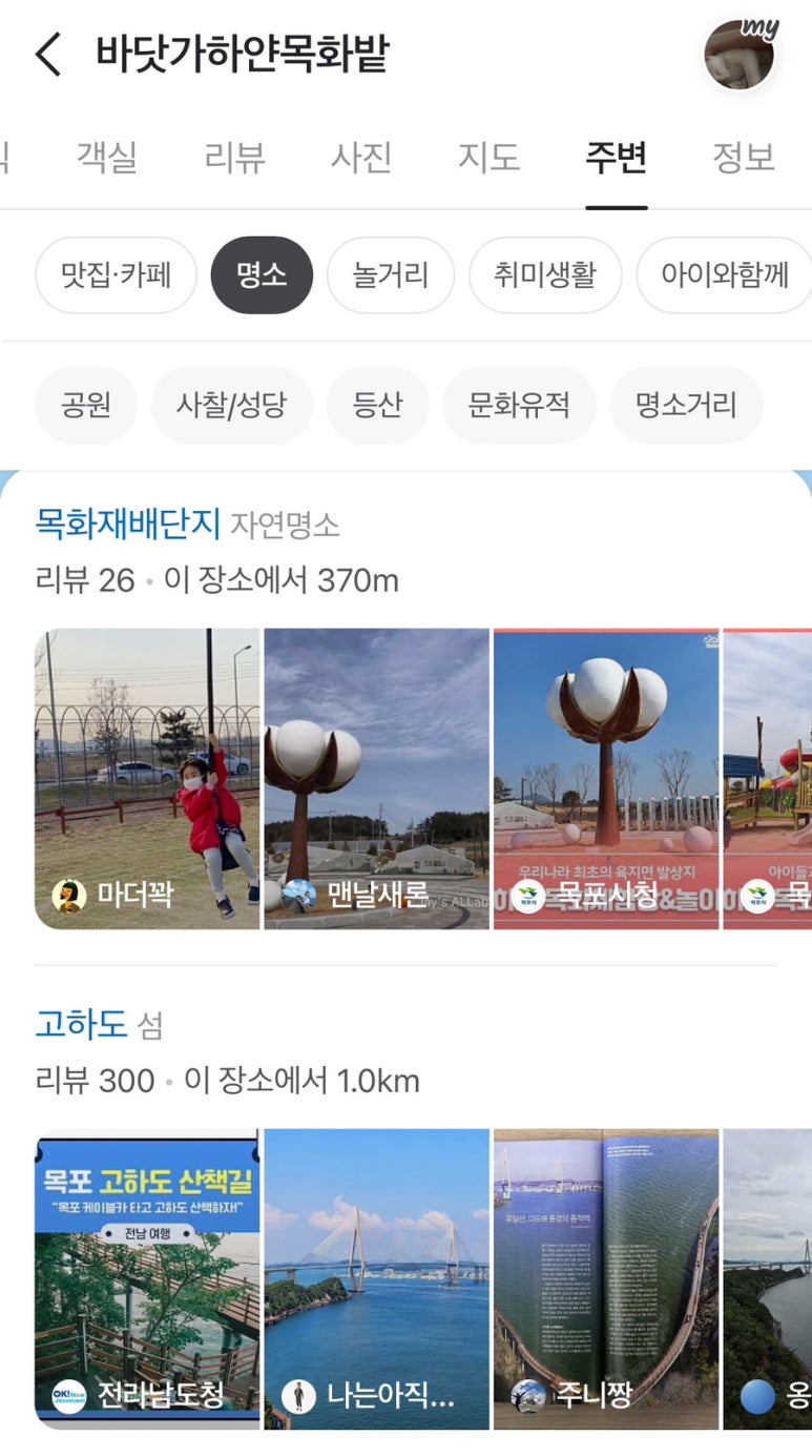 바닷가하얀목화밭 이미지