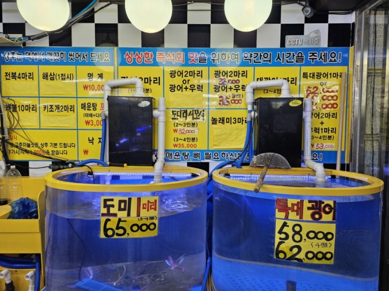 광어1마리 18000 이미지