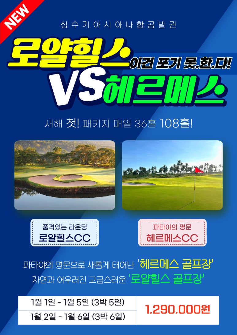 곰앤다해드림투어 이미지